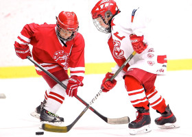 Foto Eishalle Sursee